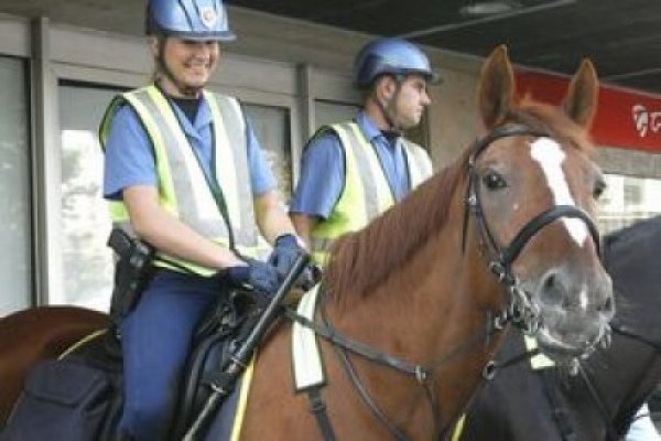 Jandarmii din cadrul Grupării Mobile Tomis vor patrule cu cai, în Mamaia